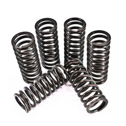 Kit arcuri ambreiaj KTM 450/525 EXC 00-07 Prox Kit arcuri ambreiaj KTM 450/525 EXC 00-07 Prox