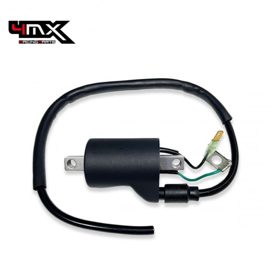 Bobina inductie KTM 4T 4MX 58439006000