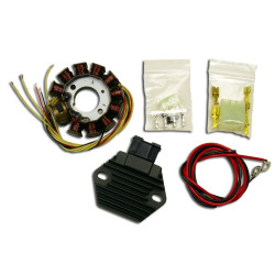 Stator si releu incarcare KTM 2T 08-15 HPI Stator si releu incarcare KTM 2T 08-15 HPI
