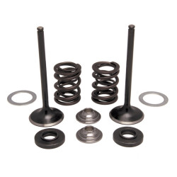 Kit supape admisie si arcuri Kibblewhite otel inoxidabil KTM RC4 250 08-11 Kit supape admisie si arcuri Kibblewhite otel inoxidabil KTM RC4 250 08-11
