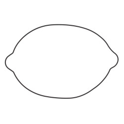 Garnitura capac ambreiaj KTM 250/300 04-16 Vertex