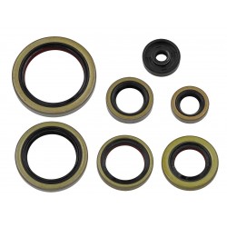 Kit simeringuri motor KTM EXC TPI 250/300 17-23 Namura Kit simeringuri motor KTM EXC TPI 250/300 17-23 Namura