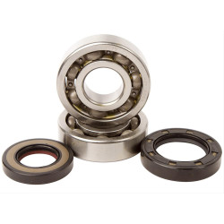 Kit rulmenti ambielaj KTM 250/300 EXC 04-22 Hot Rods Kit rulmenti ambielaj KTM 250/300 EXC 04-22 Hot Rods